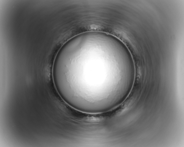 X0000088840545200706211835