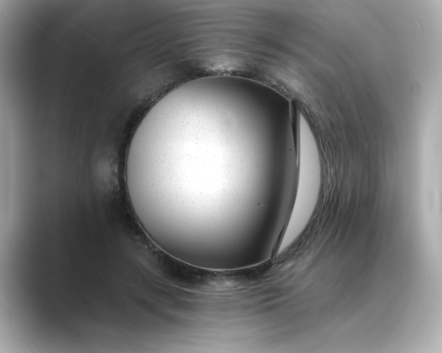 X0000088840547200706211835