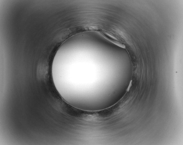 X0000088840548200706211835