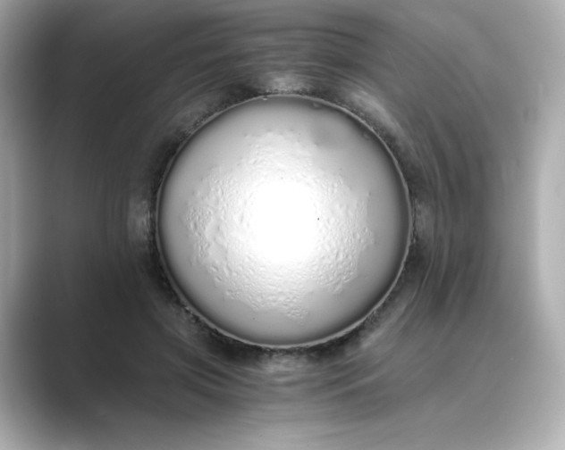 X0000088840549200706211835