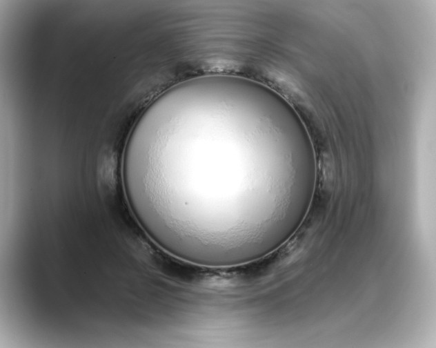 X0000088840550200706211835