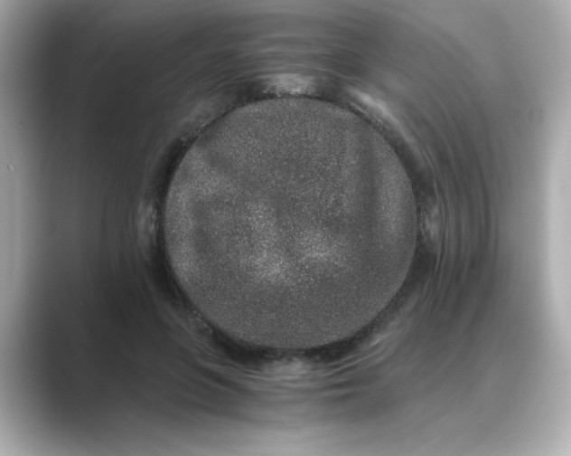 X0000088840551200706211835