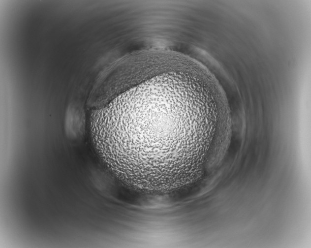 X0000088840552200706211835