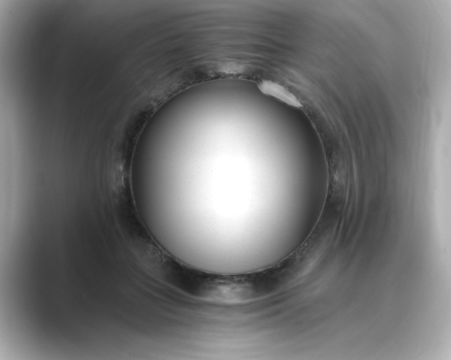 X0000088840555200706211835