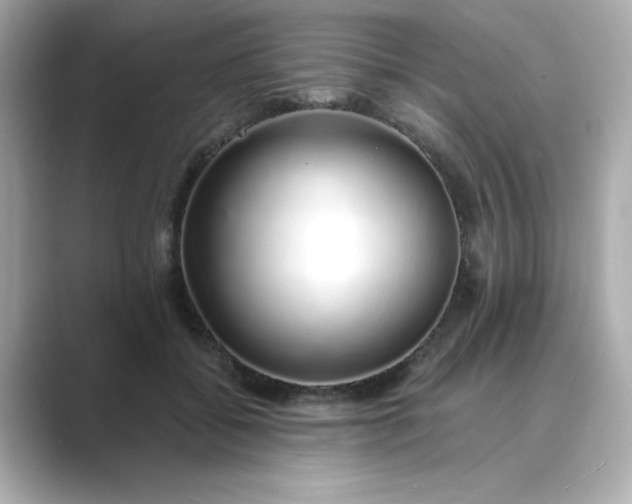 X0000088840556200706211835