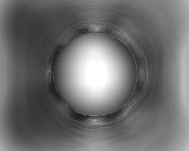 X0000088840557200706211835