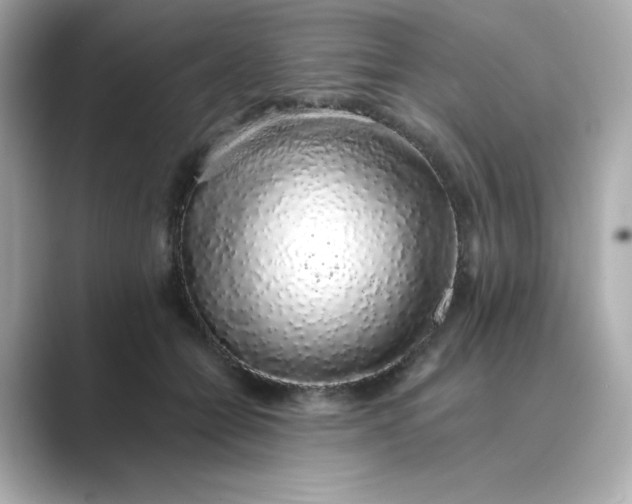 X0000088840558200706211835