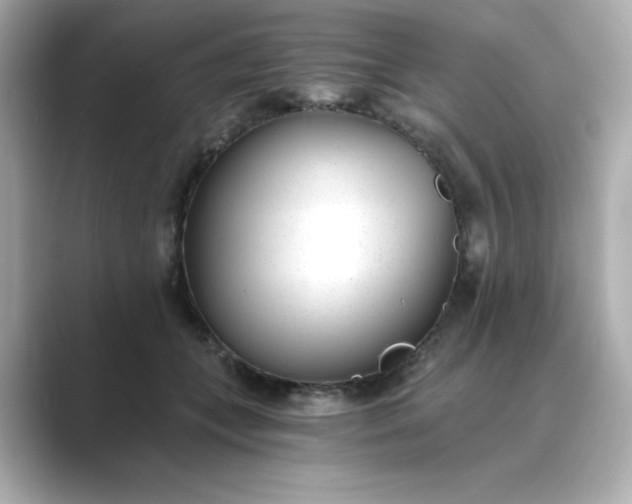 X0000088840559200706211835