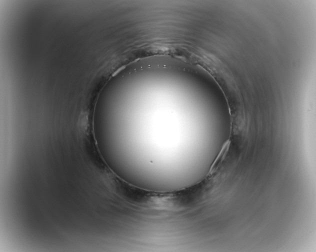 X0000088840560200706211835