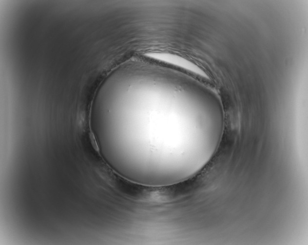 X0000088840564200706211835