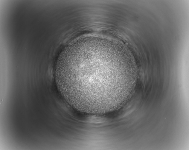 X0000088840568200706211835