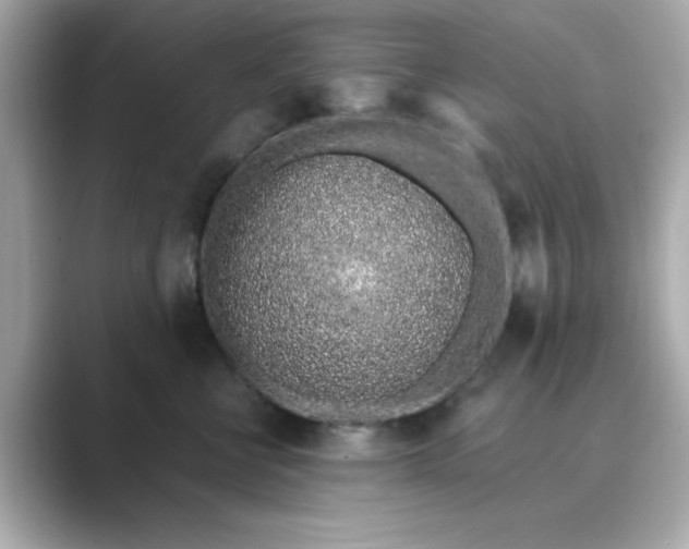 X0000088840570200706211835