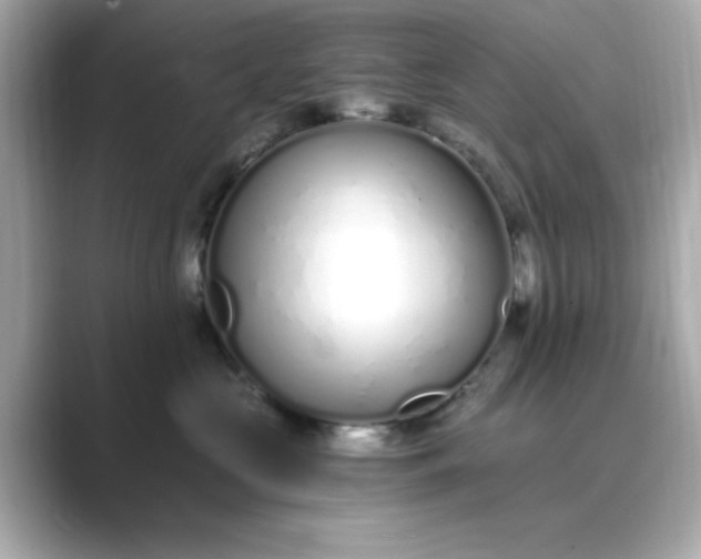 X0000088840573200706211835