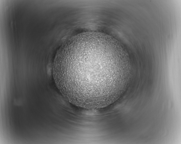 X0000088840576200706211835