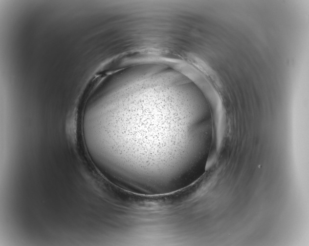 X0000088840580200706211834