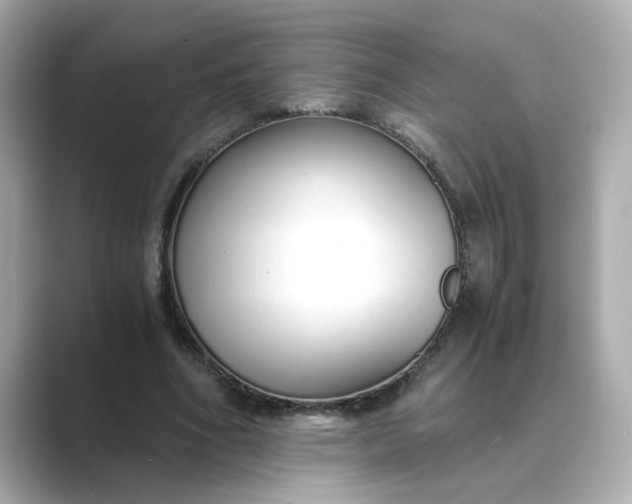 X0000088840586200706211834