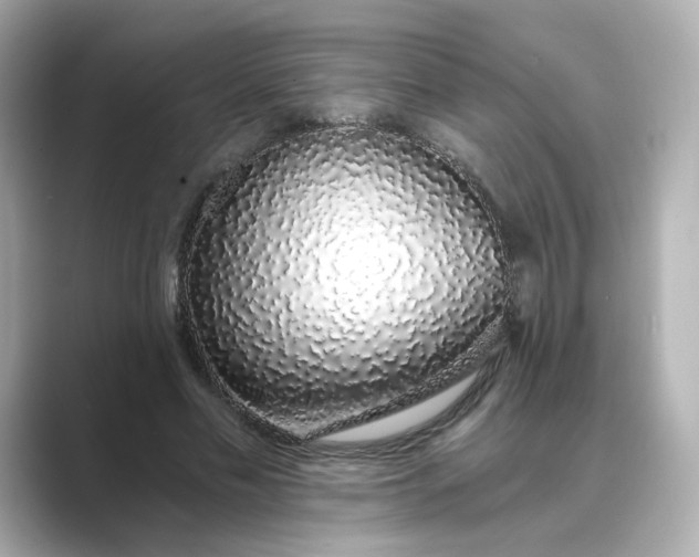 X0000088840589200706211834