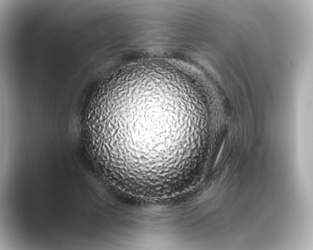 X0000088840593200706211834