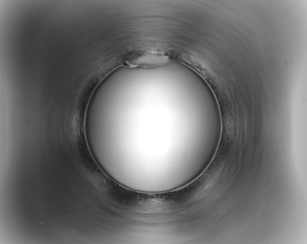 X0000088840594200706211834