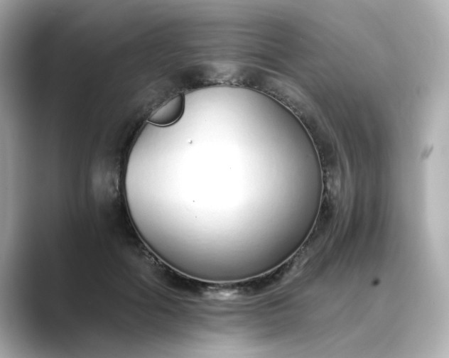 X0000088840602200706211834