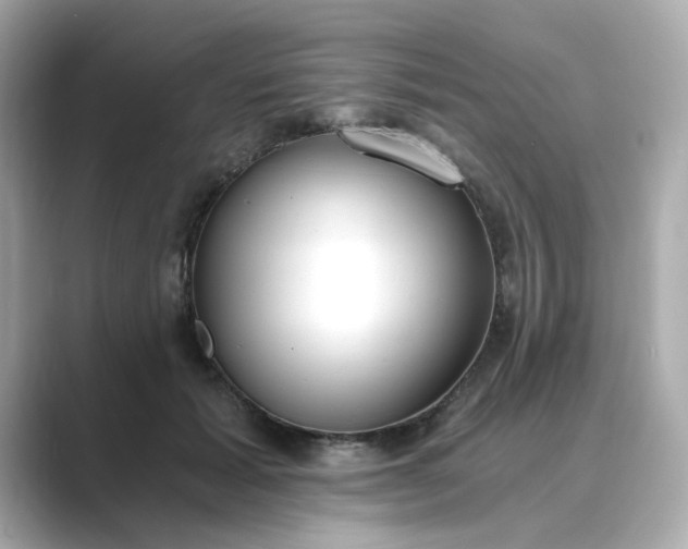 X0000088840605200706211834