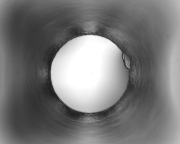 X0000088840608200706211834