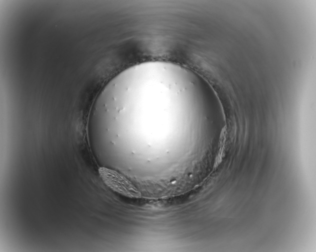 X0000088840609200706211834