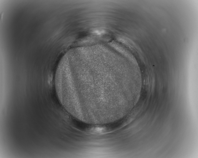 X0000088840610200706211834