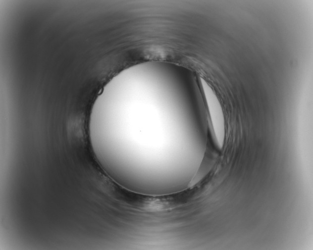 X0000088840616200706211834