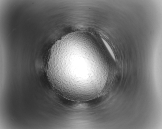 X0000088840617200706211834