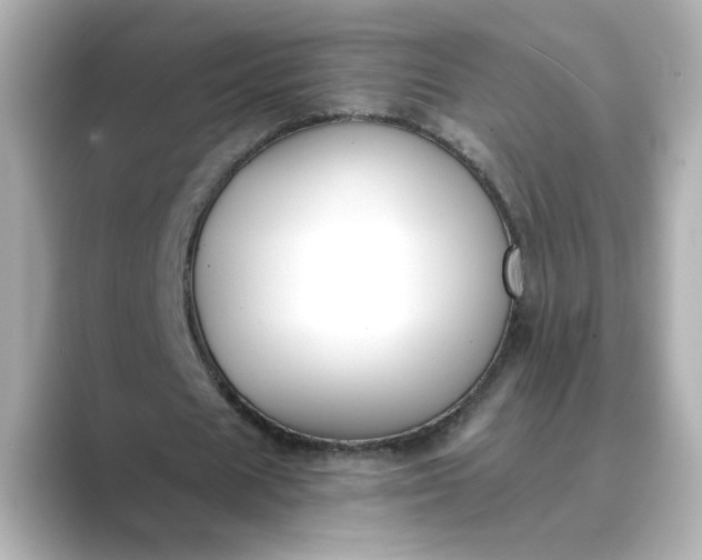 X0000088840625200706211833