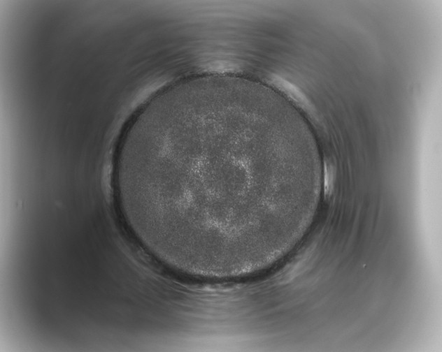 X0000088840627200706211833