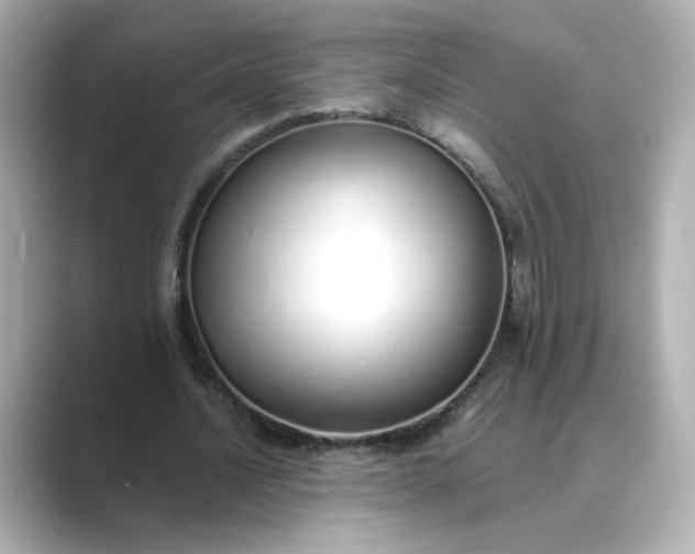 X0000088840628200706211833