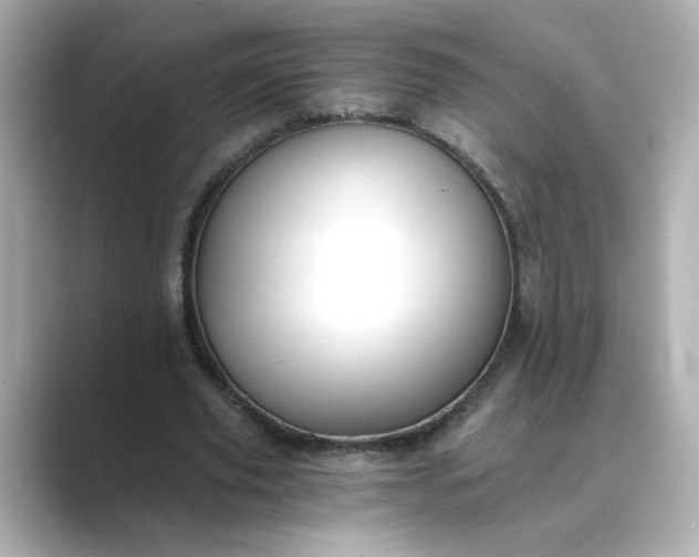 X0000088840629200706211833