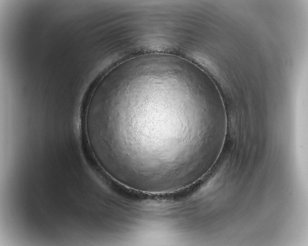 X0000088840630200706211833