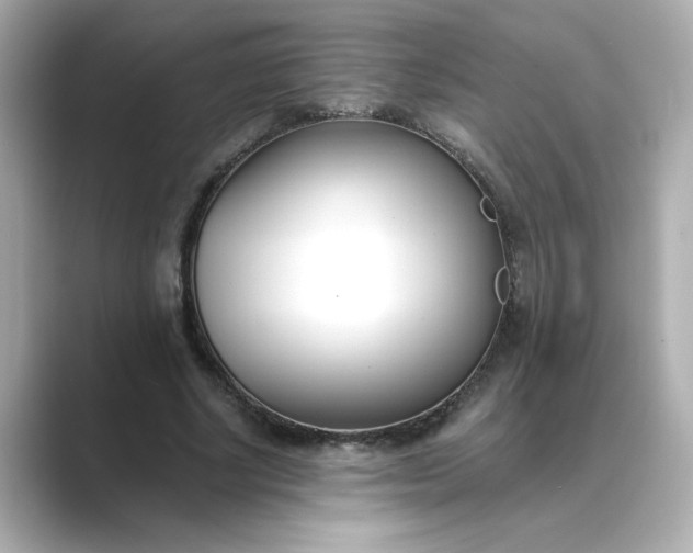 X0000088840634200706211833