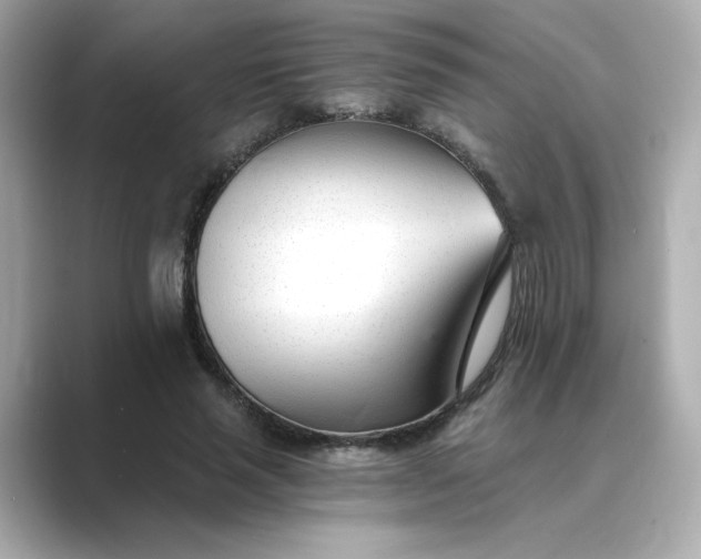 X0000088840637200706211834