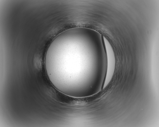 X0000088840644200706211834