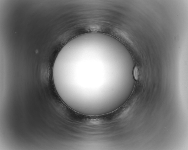 X0000088840645200706211834