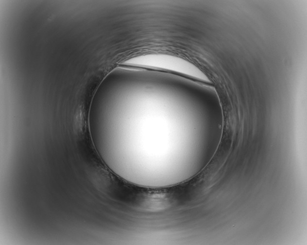 X0000088840651200706211834