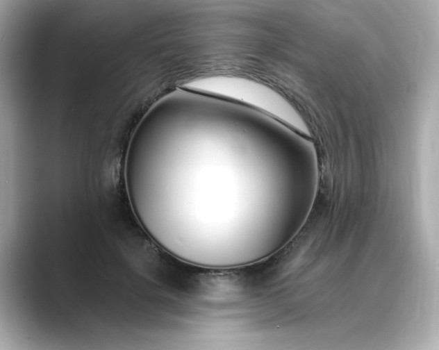 X0000088840652200706211834