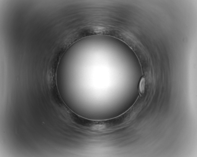 X0000088840653200706211834