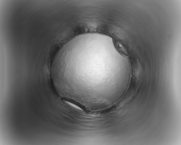 X0000088840661200706211834