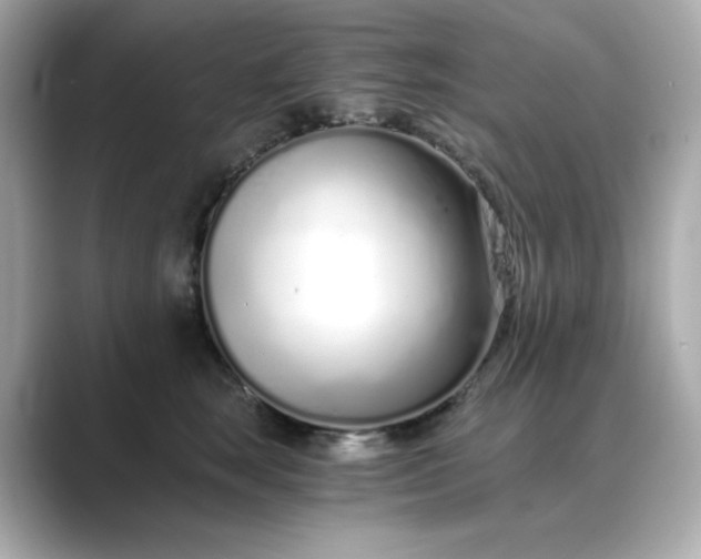 X0000088840663200706211834