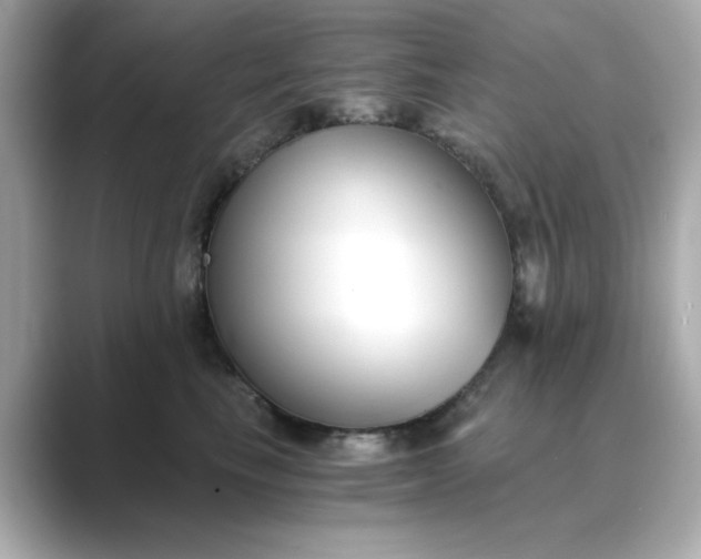 X0000088840665200706211834