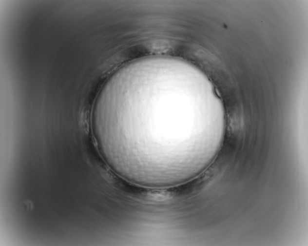 X0000088840666200706211834