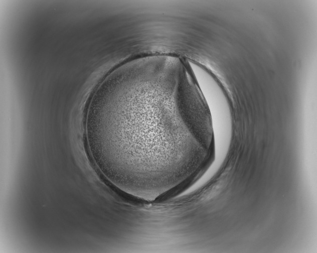 X0000088840673200706211833