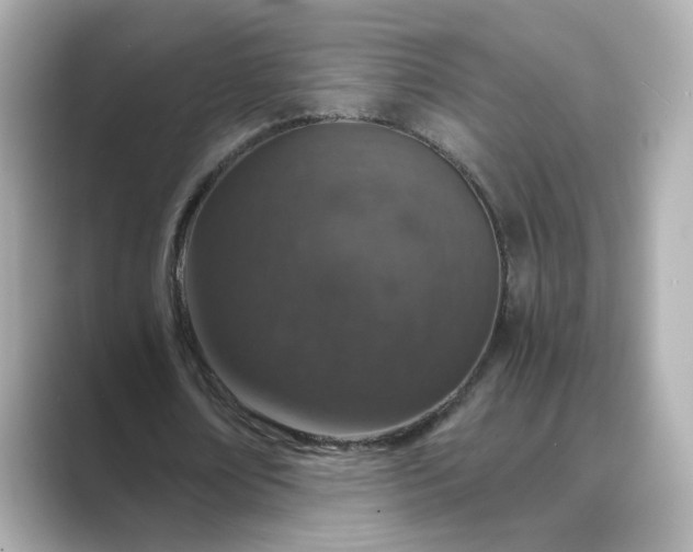 X0000088840674200706211833