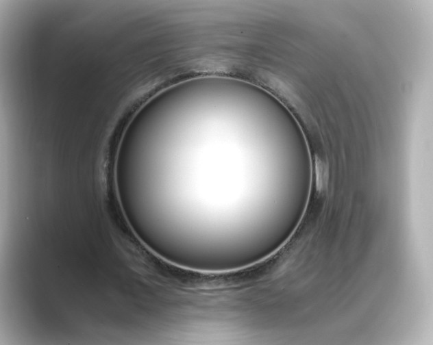 X0000088840675200706211833