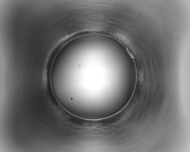 X0000088840676200706211833